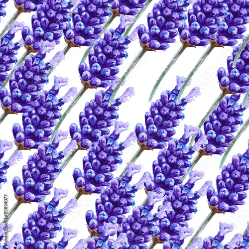 "background lavender flowers. seamless pattern. watercolor illust