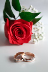 Красная роза и два обручальных кольца на белом фоне.