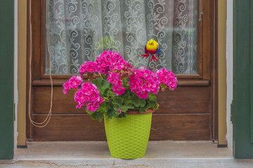 Traditional Venetian wondow with flowers in the pot
