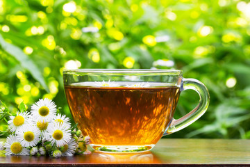 glass cup of tea with camomile flowers and camomile on the natural green vegetation background closeup