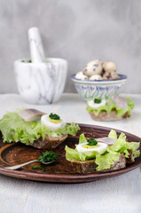 Preparation of sandwiches with herring, selective focus, still life
