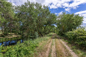 chemin de randonnée sous les arbres le long d'une rivière