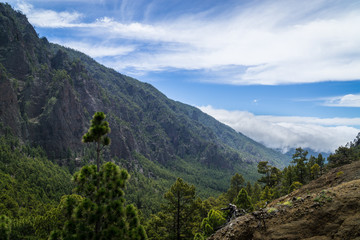 Fototapeta na wymiar Cascada de nubes an der Cumbre Nueva (la Palma / kanarische Inseln)