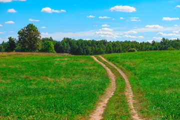 Summer landscape with country road