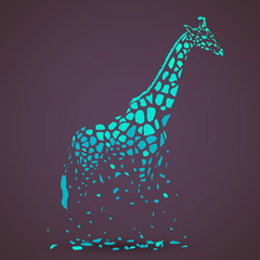 Vector giraffe silhouette, abstract animal illustration. Safari giraffe can be used for background, card, print materials - 113846809