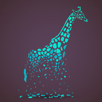 Vector giraffe silhouette, abstract animal illustration. Safari giraffe can be used for background, card, print materials