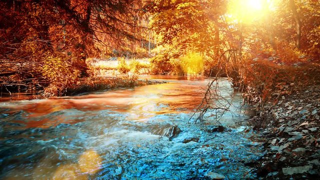 Autumn landscape with forest stream. Nature background. 4K