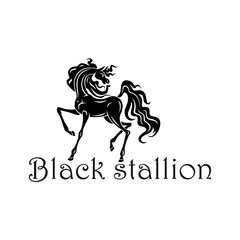 Horse show symbol with black andalusian colt