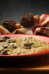 غوشنة Smrž Spugnole גמצוץ Morkel Cagarrias Morchelle Spugnola Morel Colmenillas Morchella Morels Morillas アミガサタケ属 羊肚菌 Сморчок  Morielje Ízletes kucsmagomba Morcheln Zbârciog