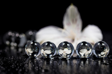 Alstroemeria, flowers, marble, close-up, macro.