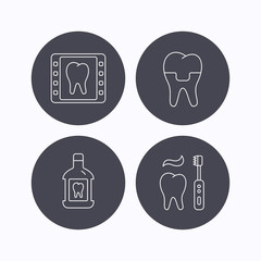 Dental crown, x-ray and brushing teeth icons.