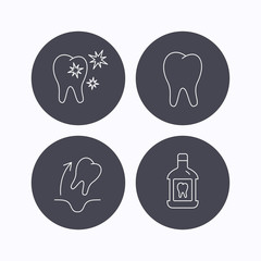 Tooth, mouthwash and healthy teeth icons.