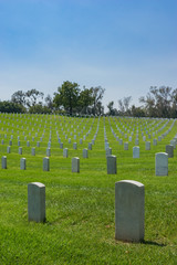 Naklejka premium Hill of Military Cemetery
