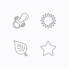 Fototapeta na wymiar Leaf, star and sun icons.