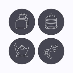 Steamer, hairdryer and toaster icons.