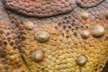 Fake dinosaur skin textured  background