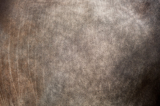 bull skin background or texture
