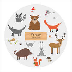 Forest animals in cartoon style on white background. Forest anim