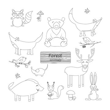 Coloring book "Forest animals". Forest animals in cartoon style