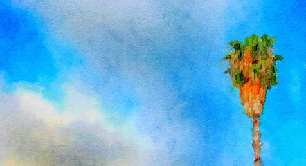 Obraz premium Palm Tree California Desert