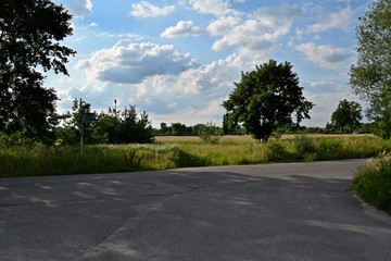 Fototapeta na wymiar Landschaft im Spreewald