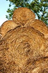 Bales of straw background