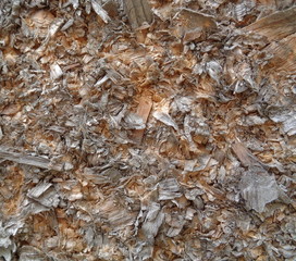 wood texture particles