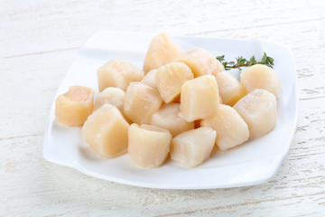 Raw scallops
