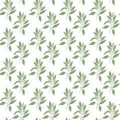 Seamless pattern green leaves of sandalwood