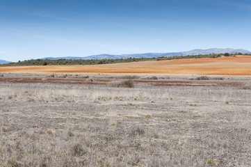 Dried-up lagoons in Puebla de Belena, Guadalajara, Spain. These areas form part of Natura 2000 network
