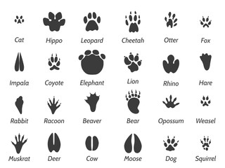 Wildlife animals black footprints set on white background with signs. Vector icons set