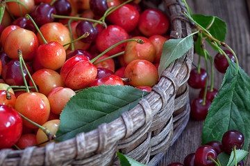 Sweet Cherries in wicker basket on rustic wooden background