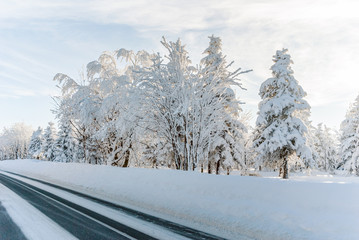 Winter snow forest road trees sunrise sunset sun