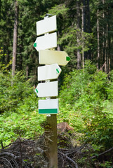 Trail forest direction sign crossroad post hiking