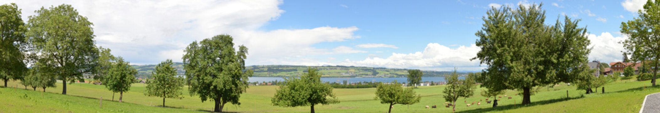 Felder mit Sempachersee