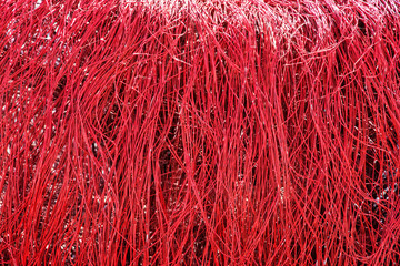 Red artificial natural decoration