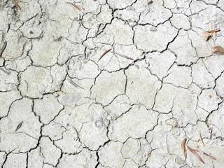 Cracked dried out earth
