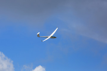Glider flying in the summer sky.