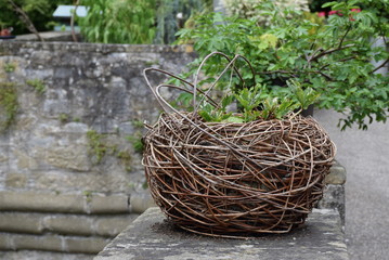 Weidengeflecht als Übertopf auf einer Sandsteinmauer