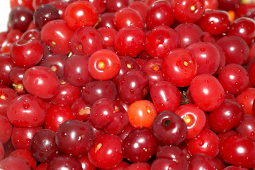 Many cherries