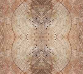Fototapeta premium Tree stump cut, wooden background