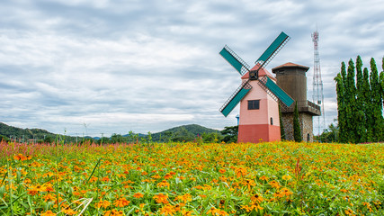 wind turbine in the zinnia field.