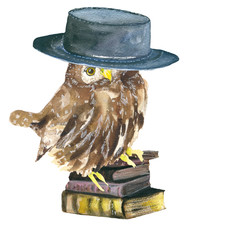 owl wise bird. Watercolor owl on books, the symbol of wisdom. - 113871007