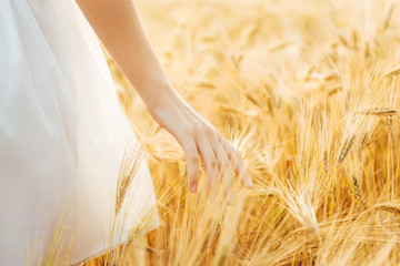 Young  girl walking through field and touches wheat.