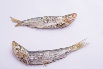 fried sardines on the plate