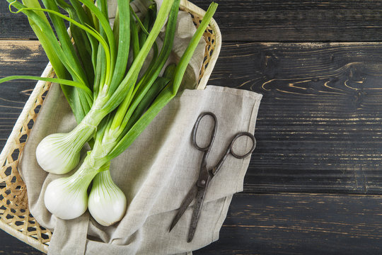 Cebollas de primavera o cebolletas tiernas en un manojo sobre un fondo de madera 
