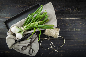 Cebollas de primavera o cebolletas tiernas en un manojo sobre un fondo de madera 