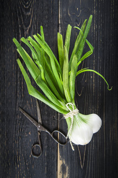 Cebollas de primavera o cebolletas tiernas en un manojo sobre un fondo de madera 