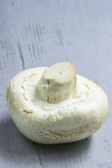 1 weißer Champignon