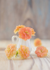 Kalanchoe bouquet in miniature, diminutive jug